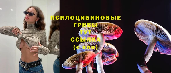 прущий лед Алексин